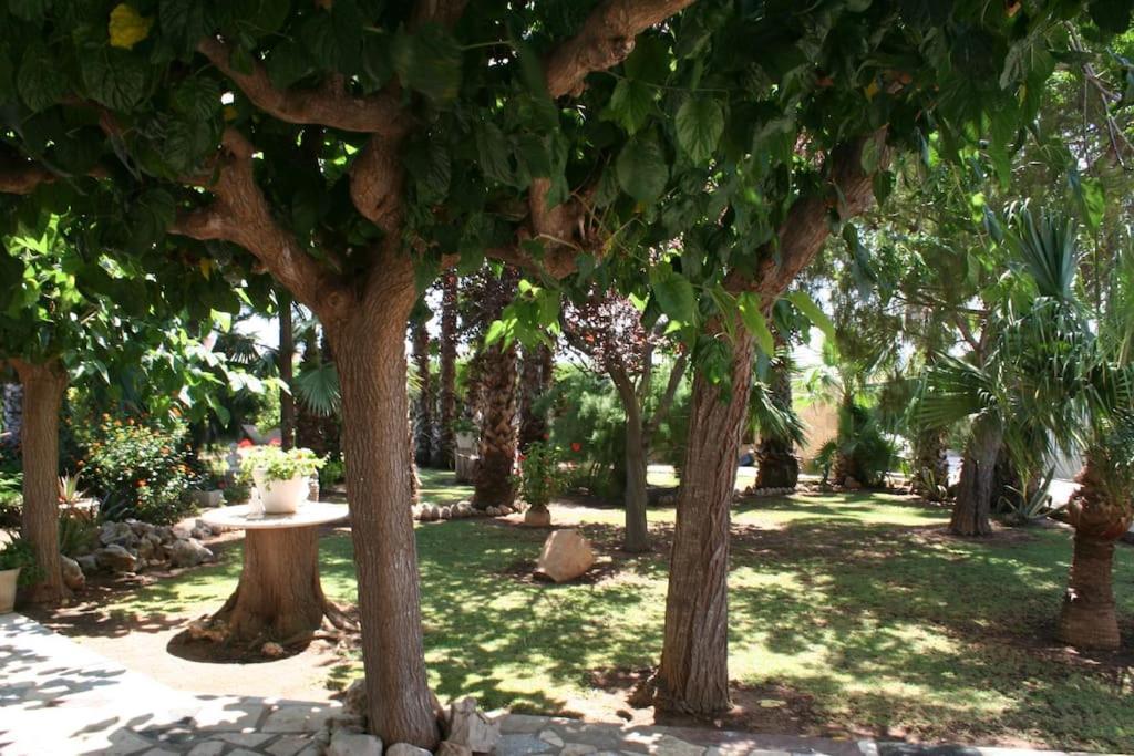 Сasa de vacaciones In Peñíscola